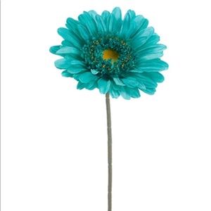 Meet your Posher, Kelby